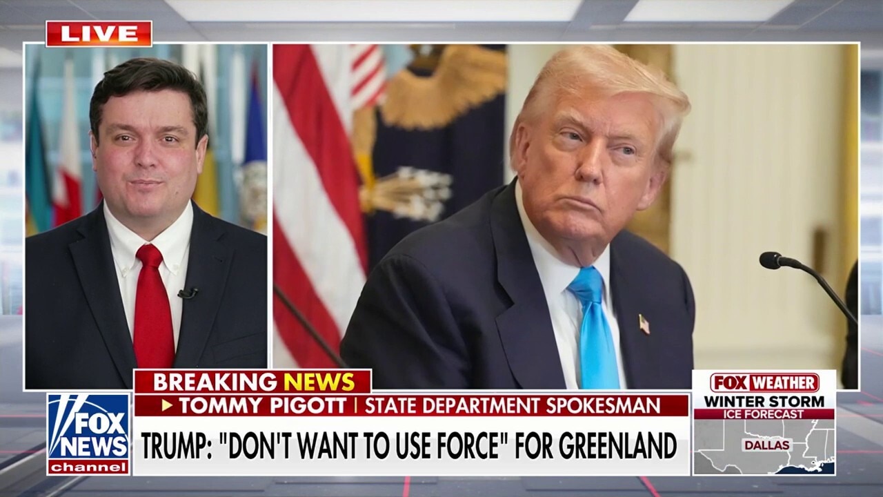 US is the ‘only NATO partner’ that can defend Greenland: State Dept