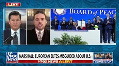 Anything that strengthens American protection is ‘fundamentally’ good for Europe, Winston Marshall says