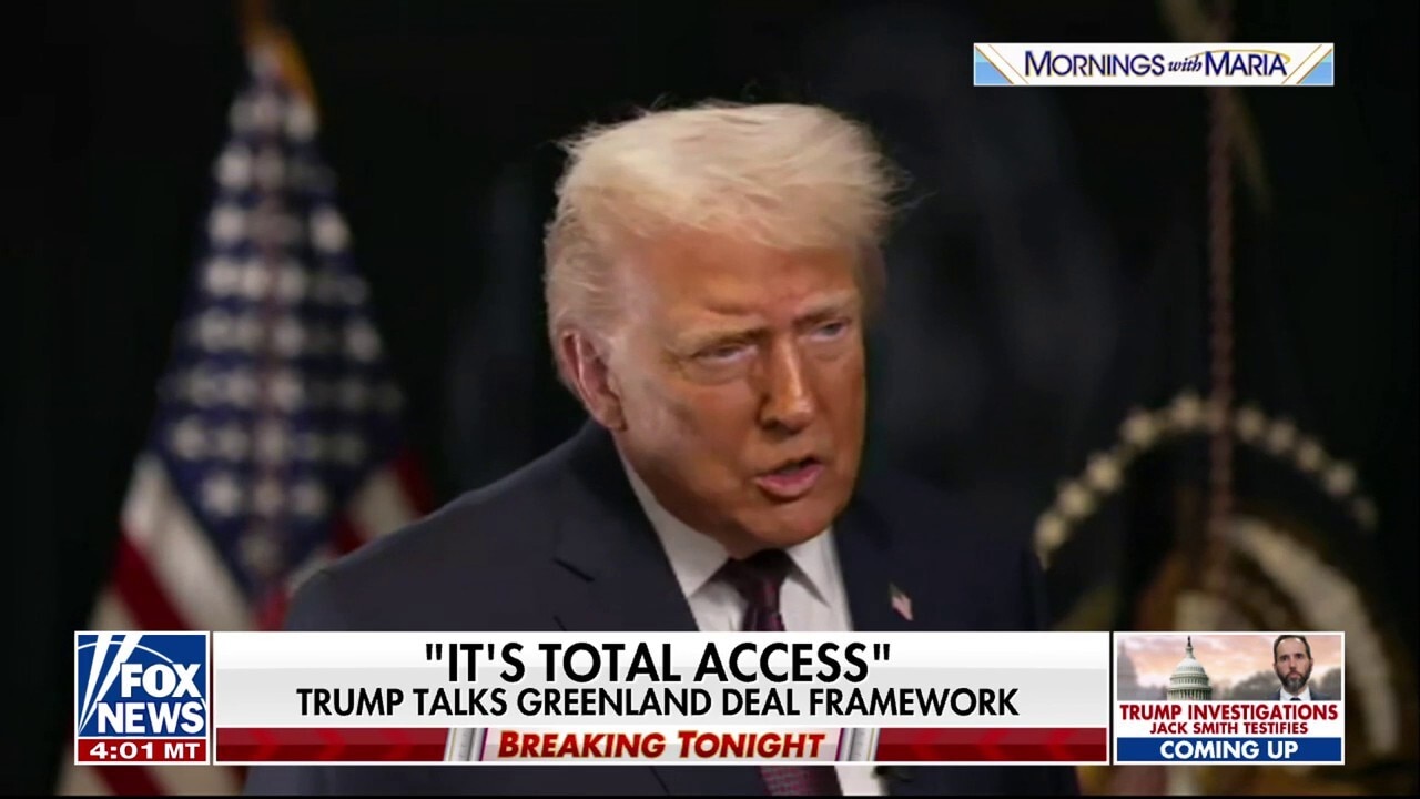 'It's total access': President Trump gives update on Greenland deal framework