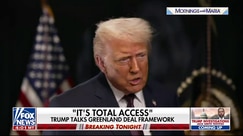 'It's total access': President Trump gives update on Greenland deal framework