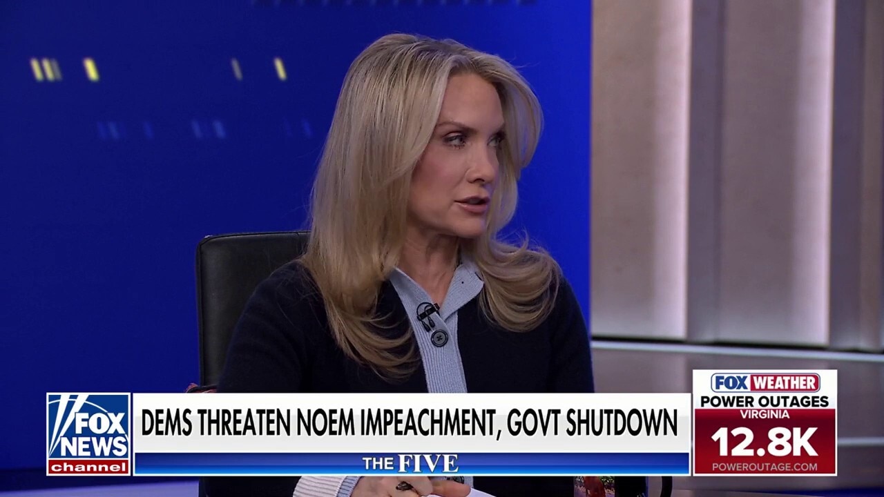 Dana Perino: Nobody in the Democratic Party can explain this to activists