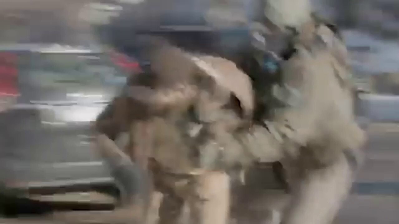 Video appears to show Alex Pretti in violent confrontation with feds days before shooting