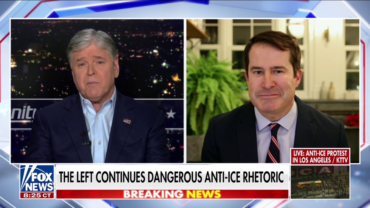 Democratic rep says ICE officers in masks are ‘cowards’ who think they're above the law