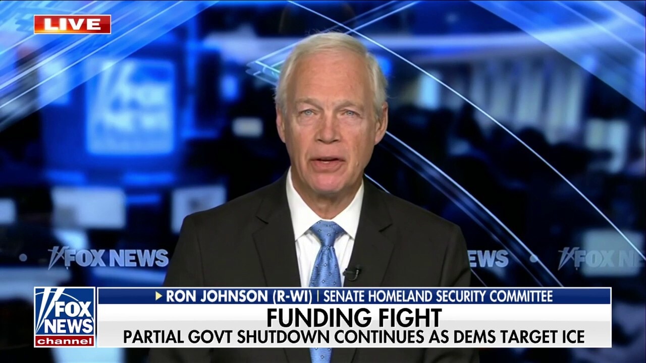 ICE is trying to ‘clean up the mess’ Democrats created at the border: GOP lawmaker