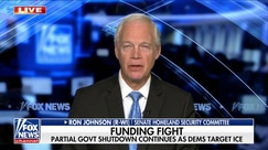 ICE is trying to ‘clean up the mess’ Democrats created at the border: GOP lawmaker