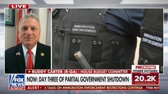 House GOP rep pushes to end government shutdown amid Democratic opposition to DHS funding