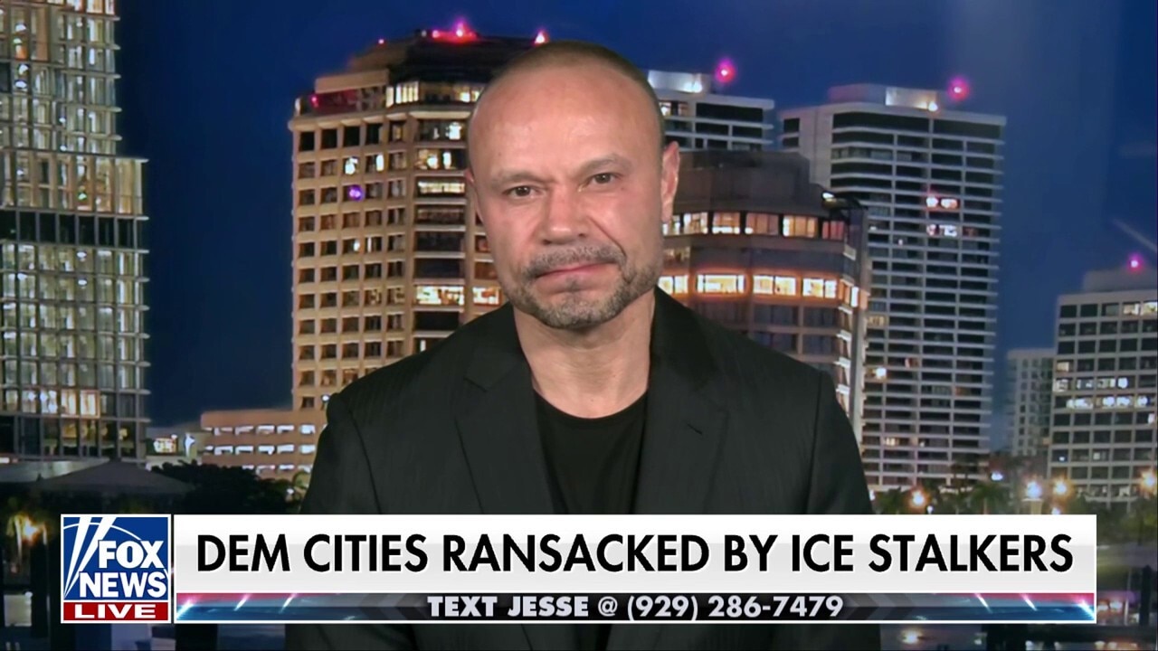 Trump was ‘transformative’ on the immigration issue: Dan Bongino