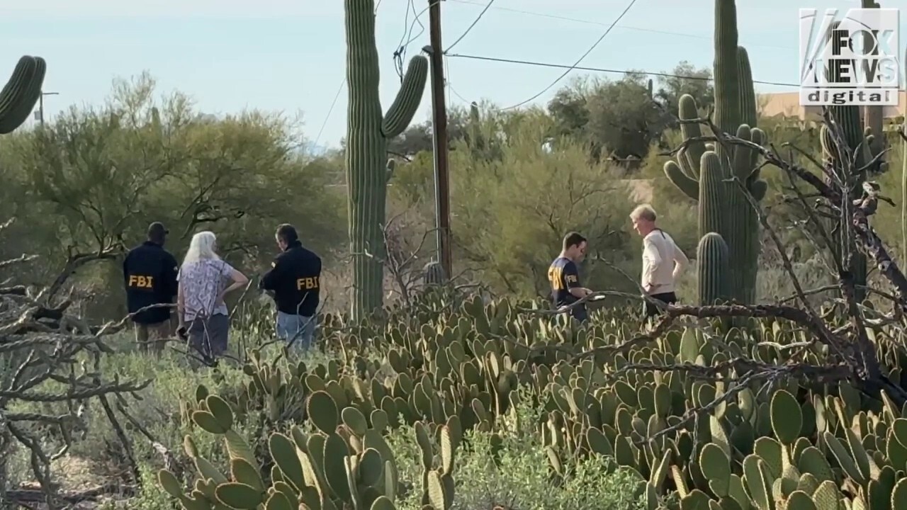 FBI agents search the area behind Nancy Guthrie's home in Tucson