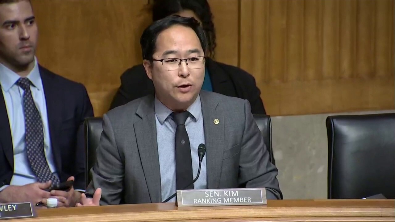 Dem Senator says questioning coordination, funding efforts of anti-ICE agitators 'delegitimizes' their anger