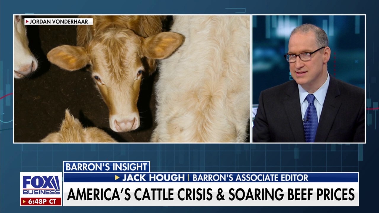 America's cattle in crisis: Little relief in sight