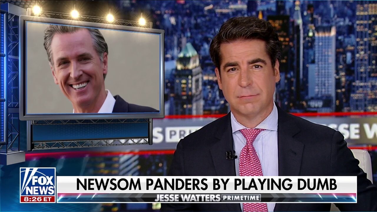Jesse Watters: Gavin's got a new pitch— 'I'm dumb'