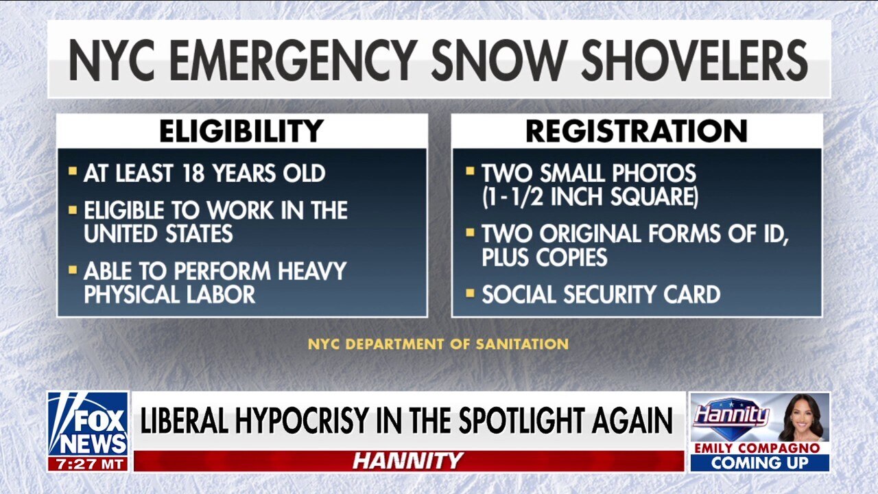 Needing 5 forms of ID to shovel in a snowstorm but not to vote is ‘ridiculous’: GOP lawmaker