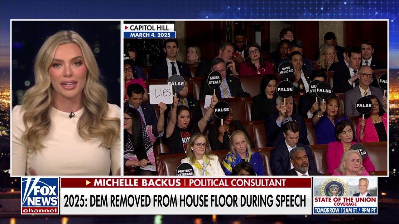 Political consultant says she ‘wouldn't be shocked’ to see ‘political theater’ from Democrats at SOTU