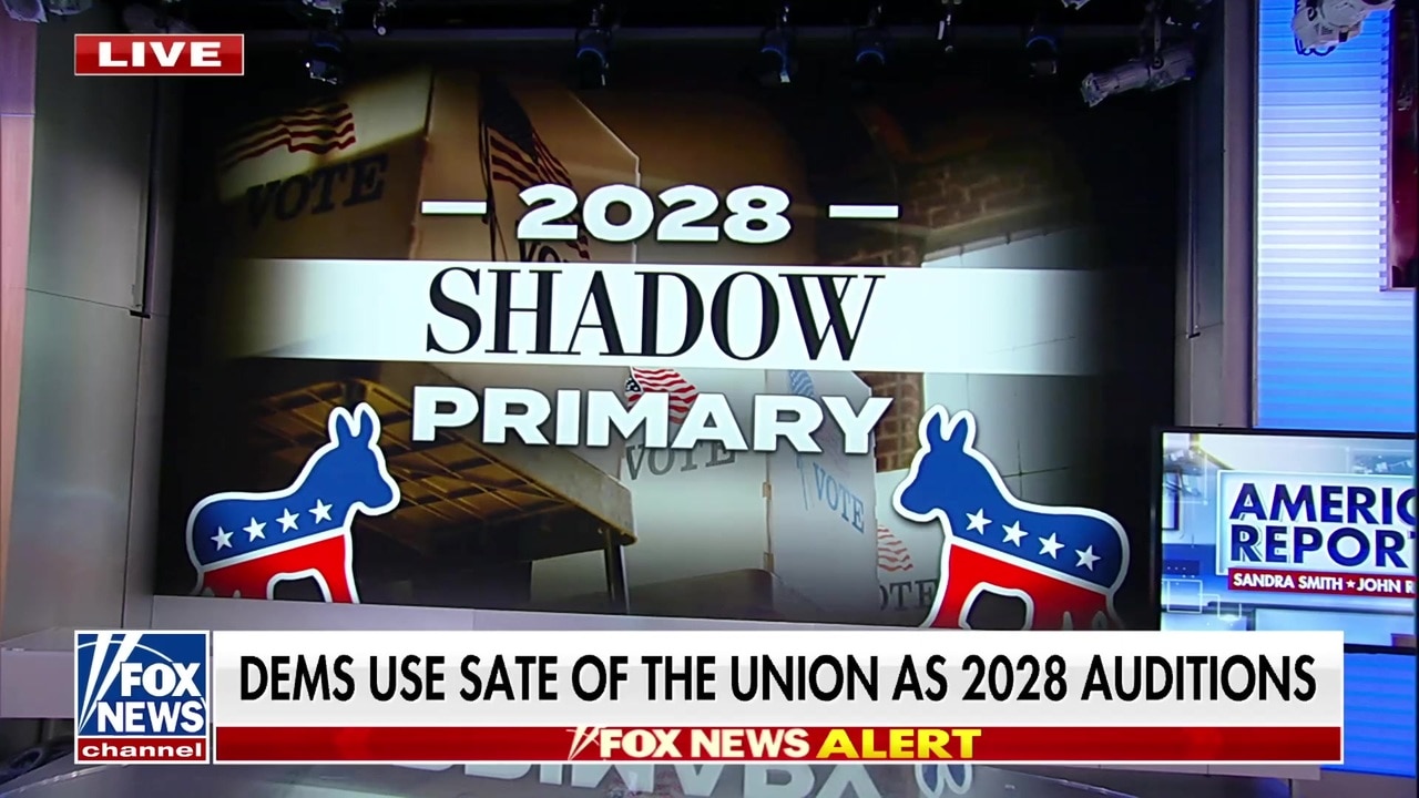 Karl Rove: Harris teases 2028 run, Newsom attacks Trump in 'shadow primary'