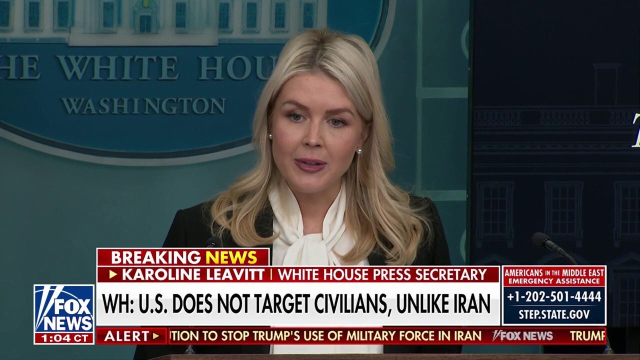 Leavitt smacks CNN for only wanting to make Trump 'look bad'