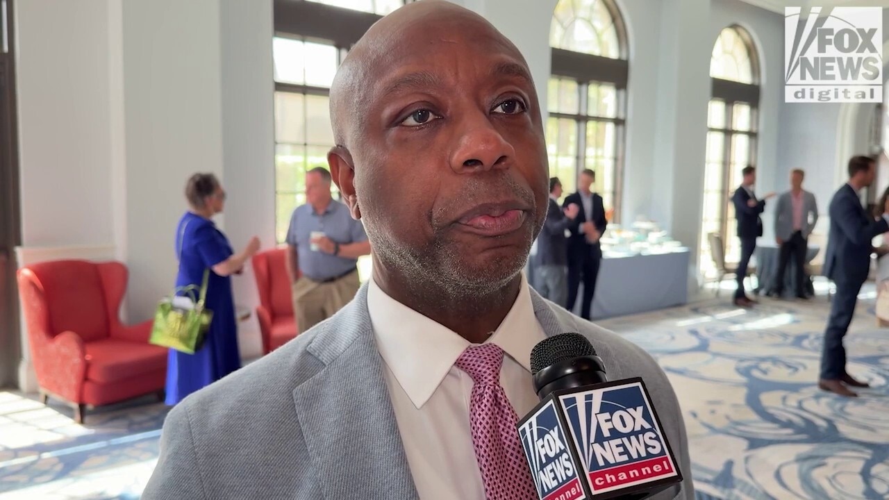 Senate Republican campaign chair Tim Scott ‘extremely optimistic’ about expanding majority but spotlights ‘difficult’ climate