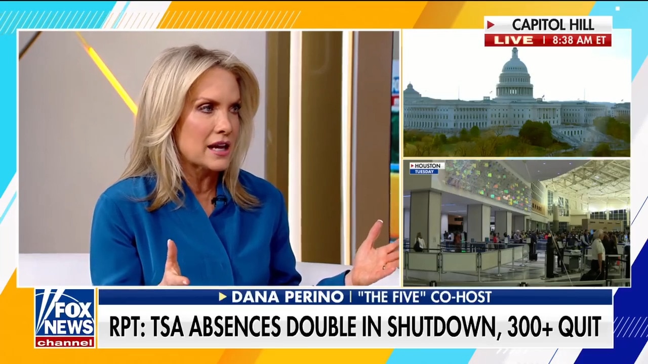 Government shutdown woes deepen as TSA absences spark security concerns