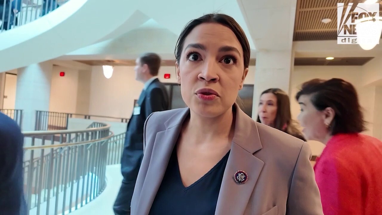 Democrats stick to their guns on ICE reform demands as Department of Homeland Security shutdown approaches four-week mark