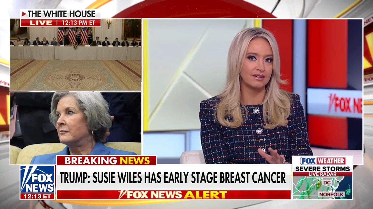 White House chief of staff Susie Wiles diagnosed with breast cancer