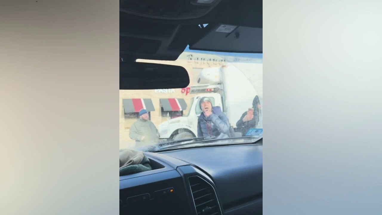 Anti-ICE agitators unknowingly block ICE from arresting child rapist in Boston