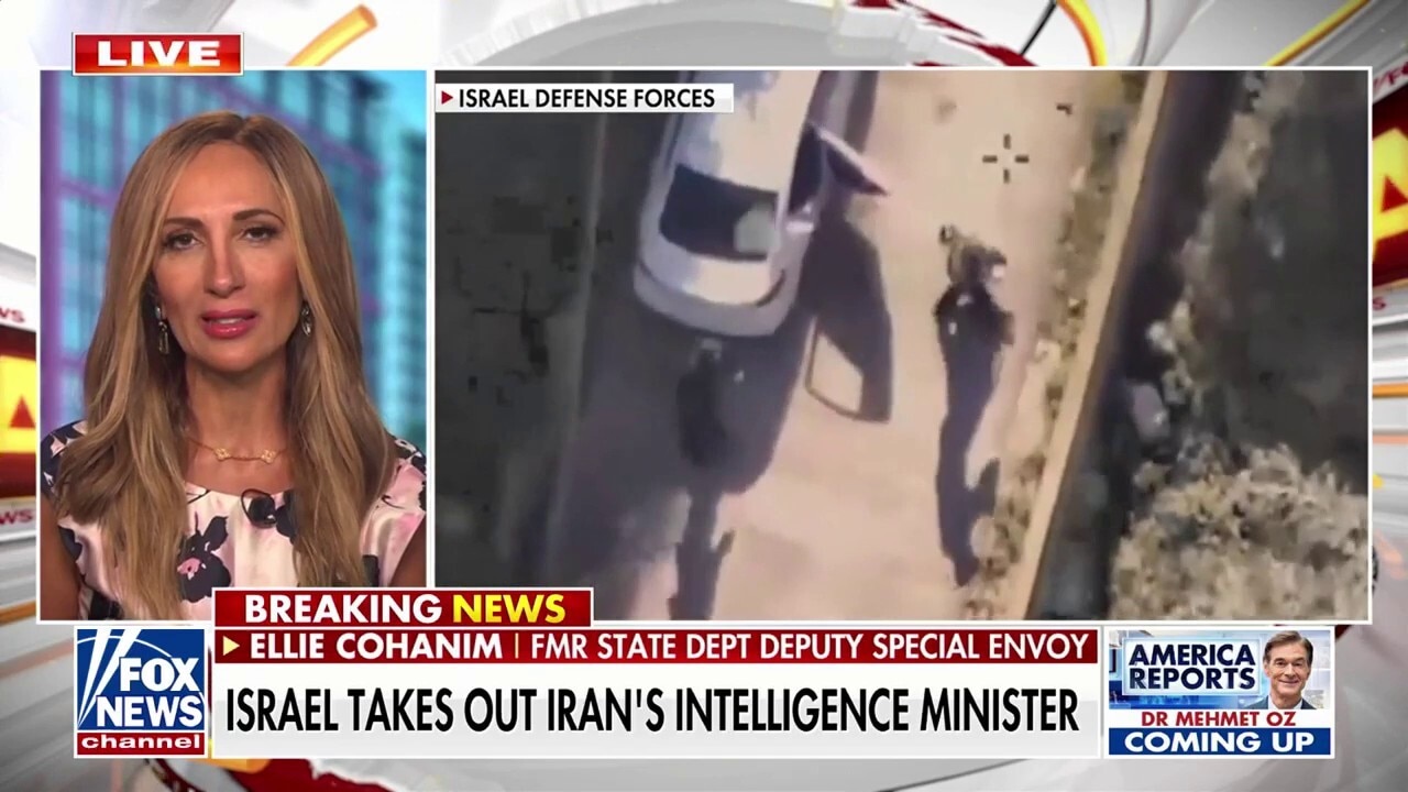 US, Israel ‘dismantling’ Iranian regime in ‘historic’ way: Ellie Cohanim