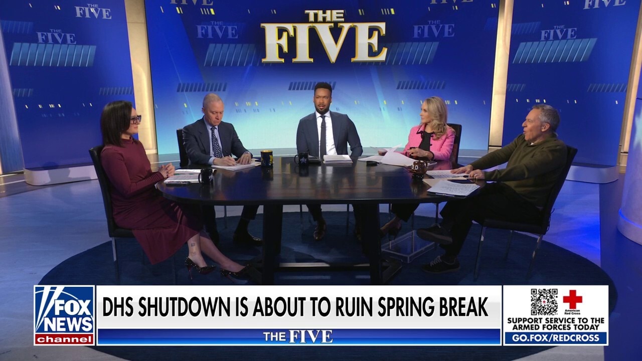 Dana Perino: Democrats don’t realize they’re on the ‘losing end’ of this