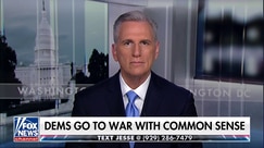 McCarthy blasts Dems for holding DHS funding 'hostage,' risking national security