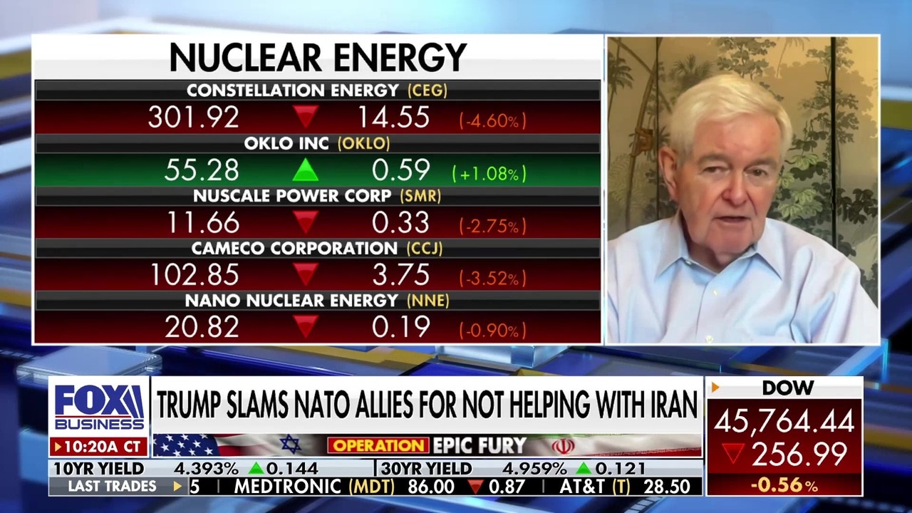 Gingrich slams Europe’s weak military support in Iran conflict