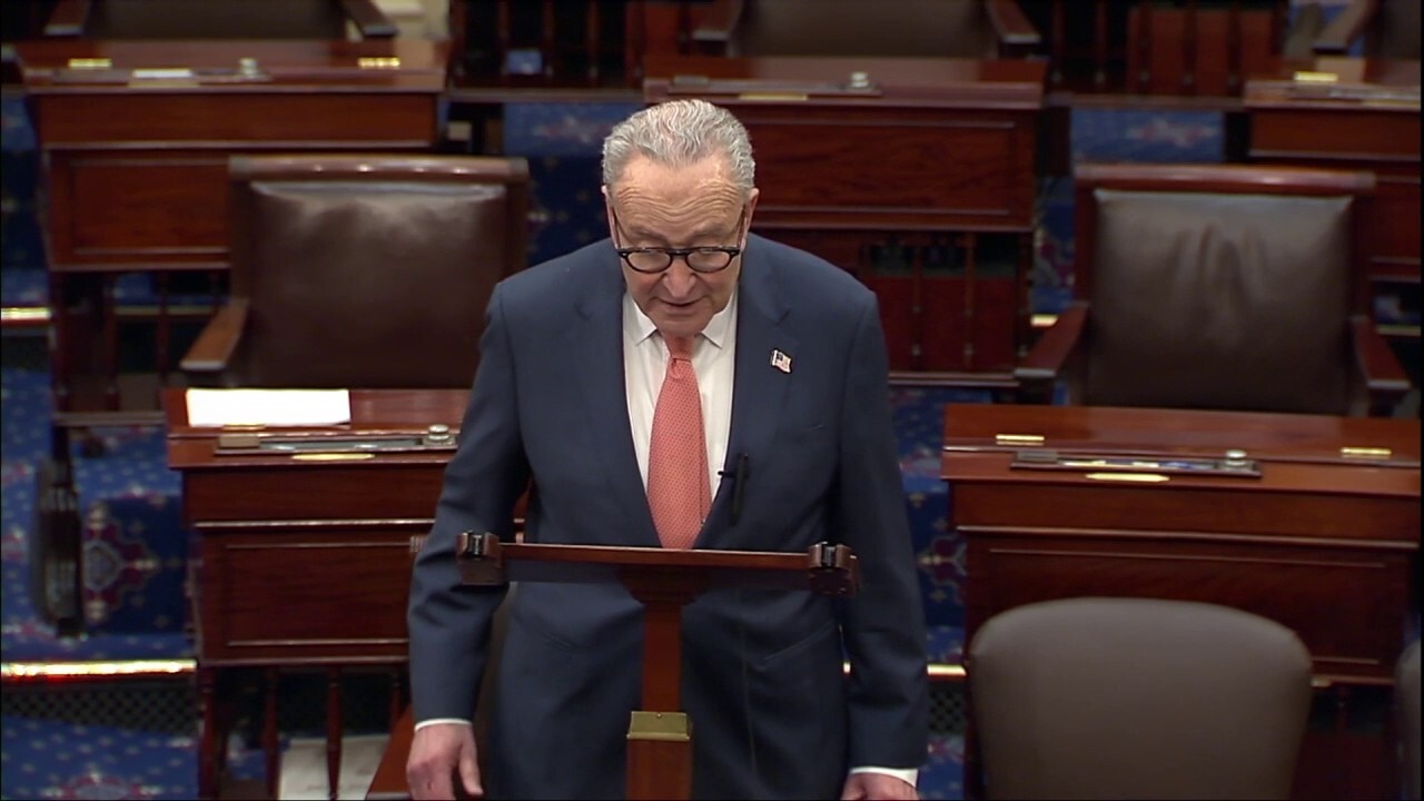 Schumer slip up: 'We must fund ICE, we must fund TSA'