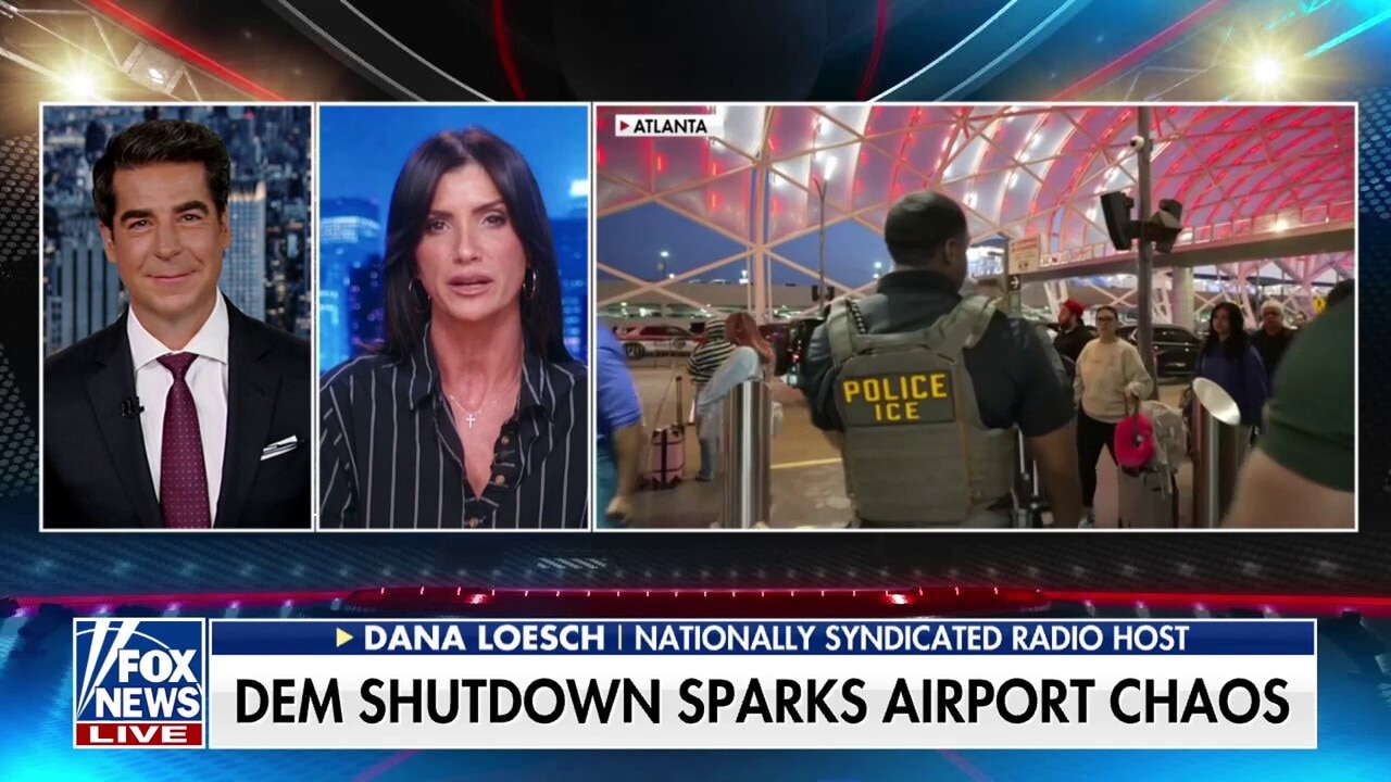 This is the second time Democrats have 'pulled this' on the American people: Dana Loesch