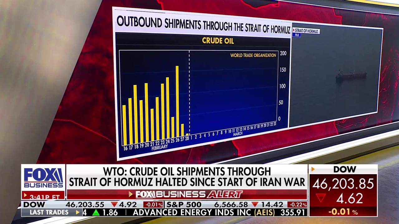 CEO details ‘several lessons’ Americans can learn amid surging energy prices