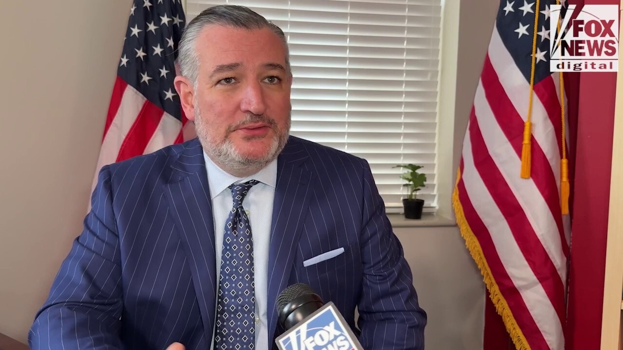 Sen Ted Cruz argues that ‘Democrats are putting every American at risk’ with DHS shutdown