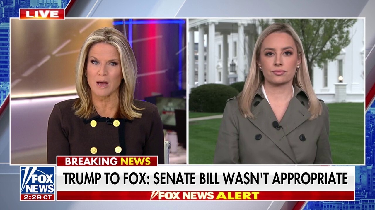 President Trump backs Speaker Johnson's rejection of Senate GOP-Dems' deal on DHS spending bill