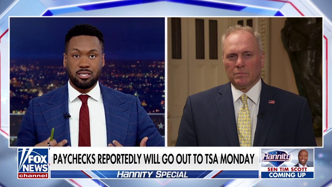 House Majority Leader Steve Scalise says now is ‘not a time’ to defund DHS