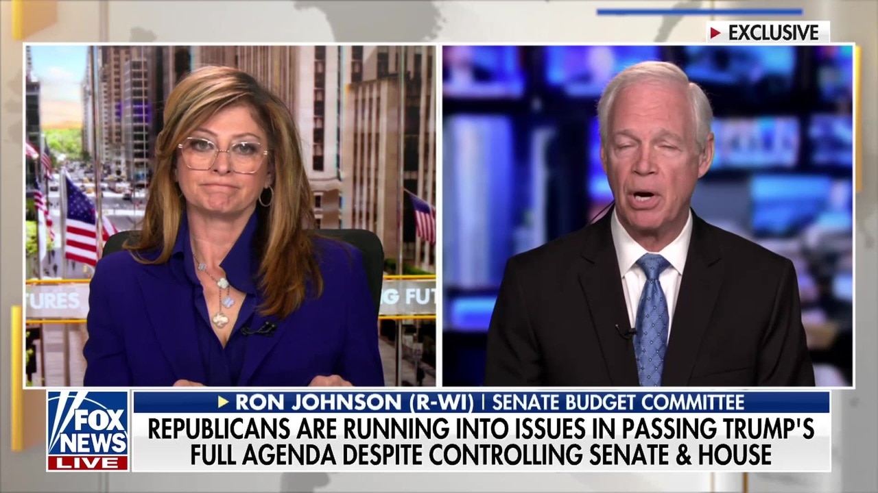 Ron Johnson blames Democrats for obstructing DHS funding and border security