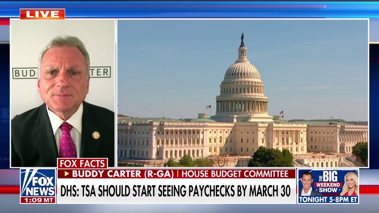 Democrats 'playing politics' with Americans' safety: GOP lawmaker