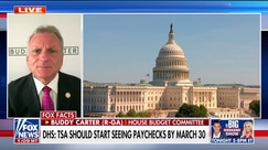 Democrats 'playing politics' with Americans' safety: GOP lawmaker