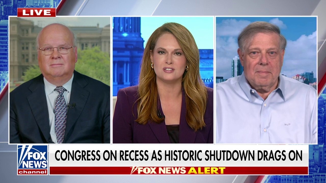 It's 'never been clear' what Dems' demands are, Karl Rove says