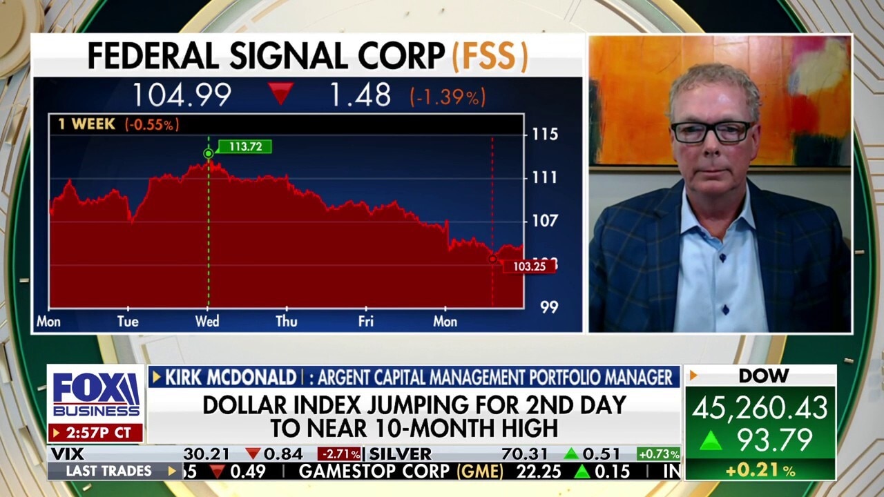 Economy is still overall strong despite volatility, portfolio manager suggests