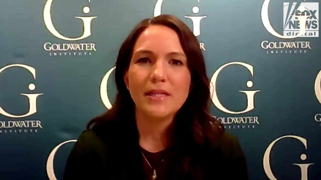 UCLA sued for 'Activist-In-Residence' program employing radical 'poverty skola' who thinks homelessness is a 'White man's scam'