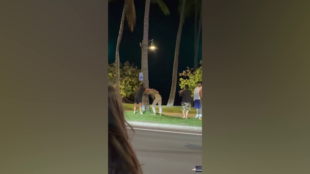 ICE impersonator beaten by mob on Honolulu street