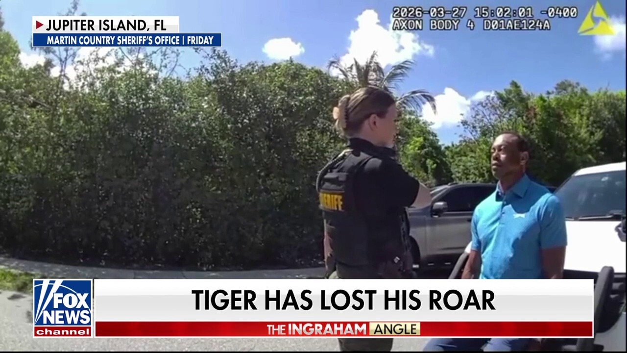 Michele Tafoya on Tiger Woods’ arrest: ‘He needs help’