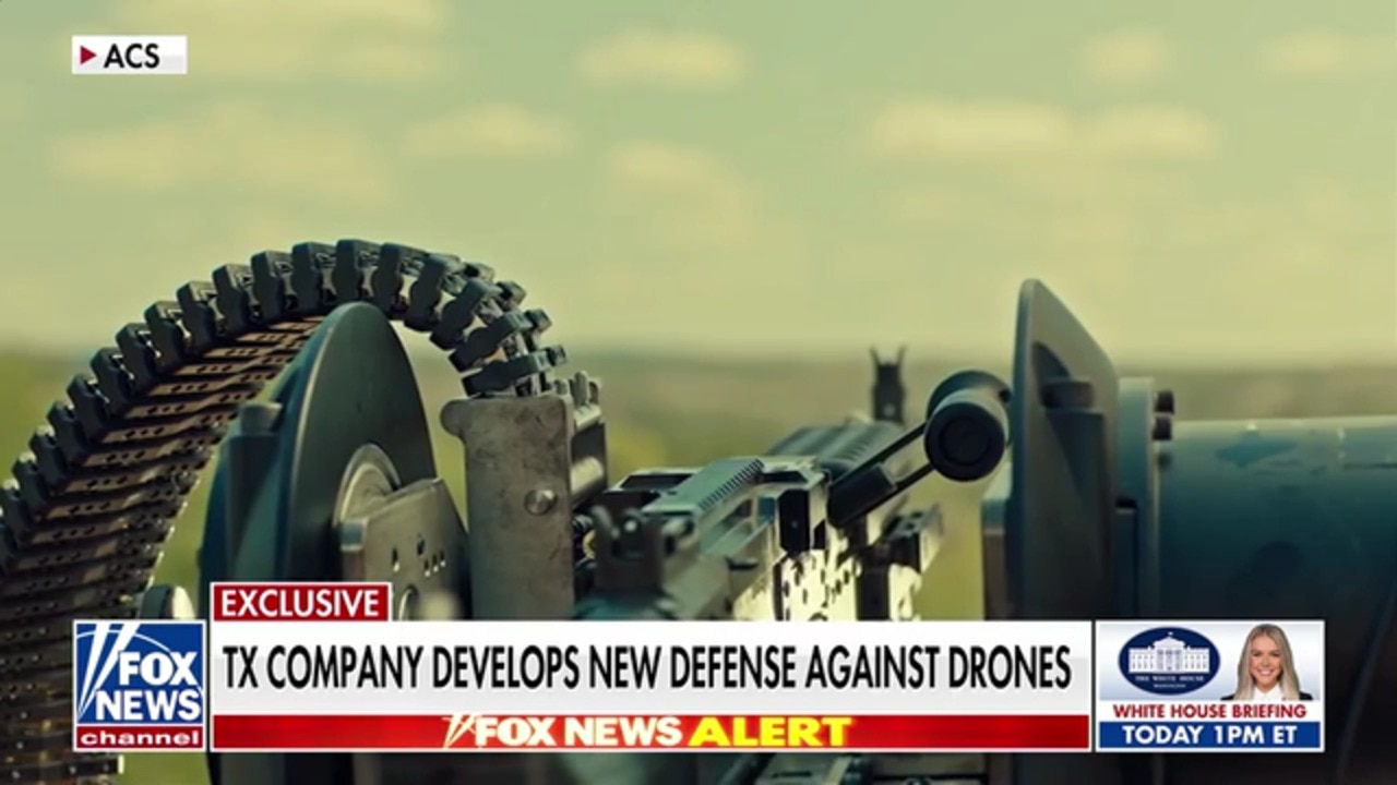 US Army, Navy deploy $10-per-kill autonomous drone killer 'Bullfrog'
