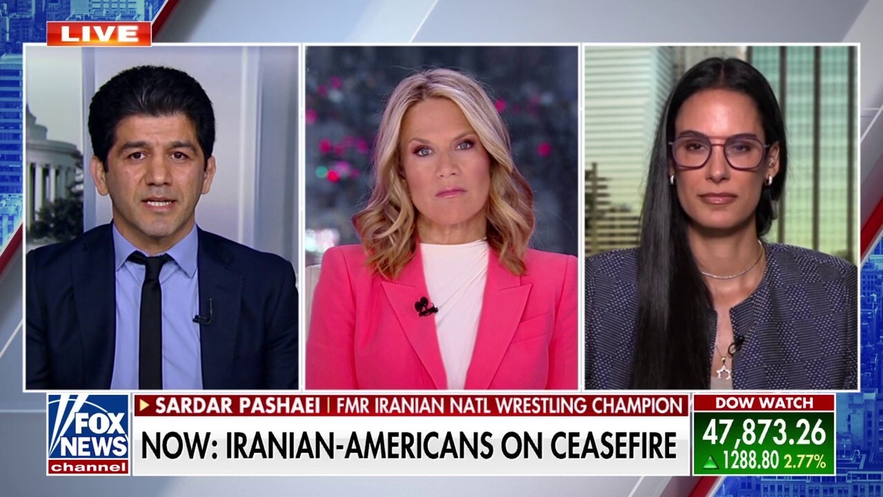 President Trump was speaking in a language this regime understands, Iranian-American says 