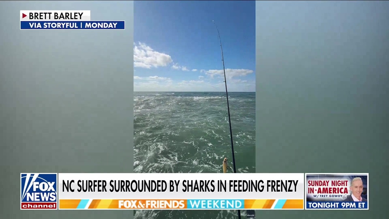 Pro surfer reveals how he kept his cool amid shark feeding frenzy