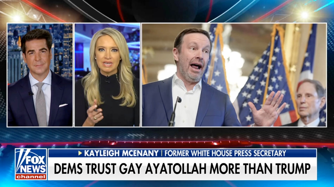 Kayleigh McEnany: Politicians have been ‘lying to you’