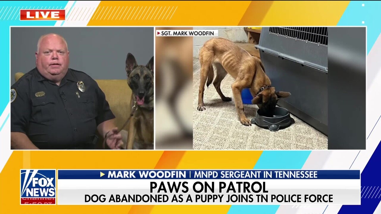 Tennessee sergeant adopts abandoned rescue puppy who becomes certified K-9