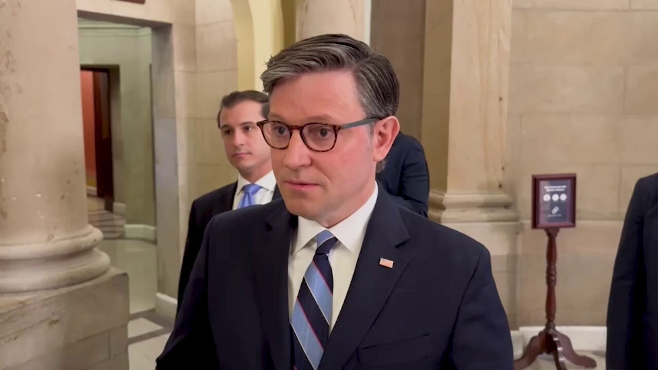 House Speaker Johnson: Must move Senate funding for ICE, CBP now