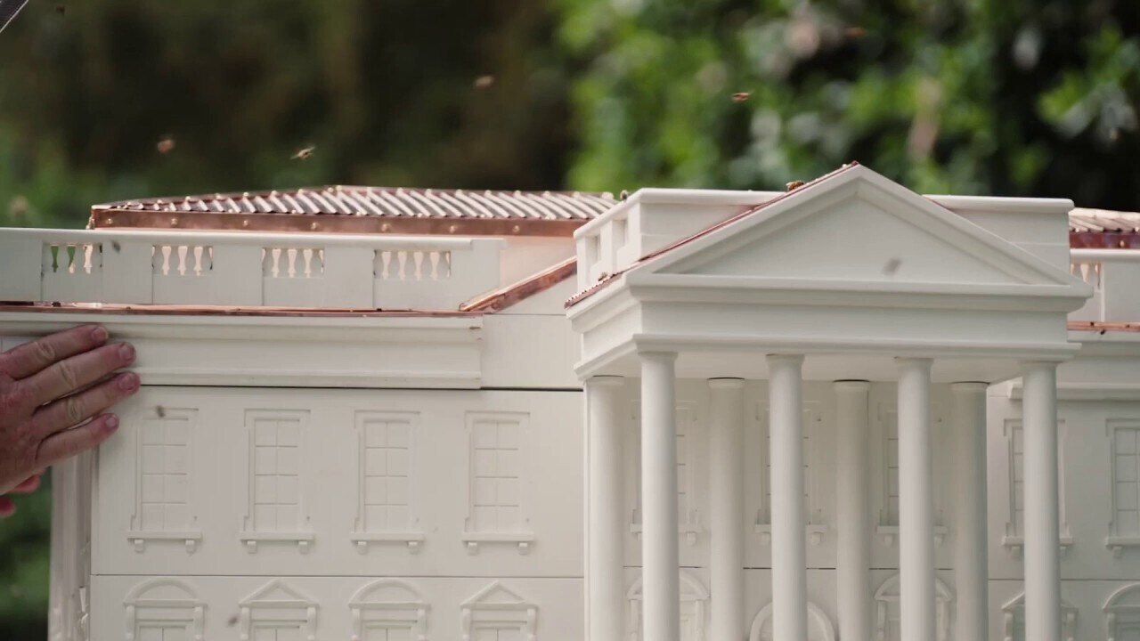 Melania Trump unveils new White House replica beehive, expansion of honey program