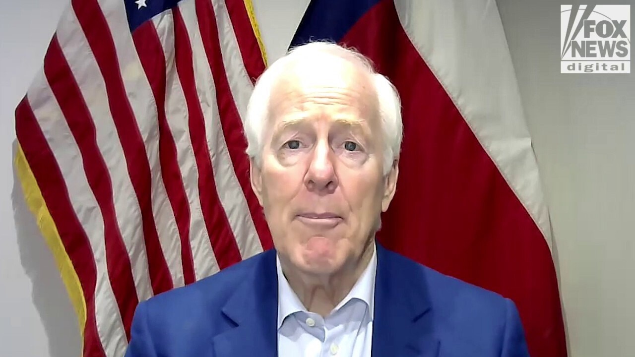Texas senator calls out Democrats over DHS funding, sanctuary fights amid homeland chaos
